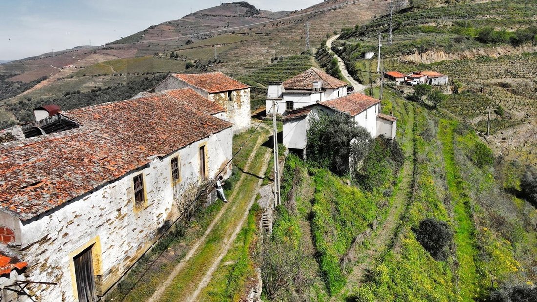 Farm Ranch in Sao Joao da Pesqueira e Varzea de Trevoes, Viseu District, Portugal 3 - 15691202