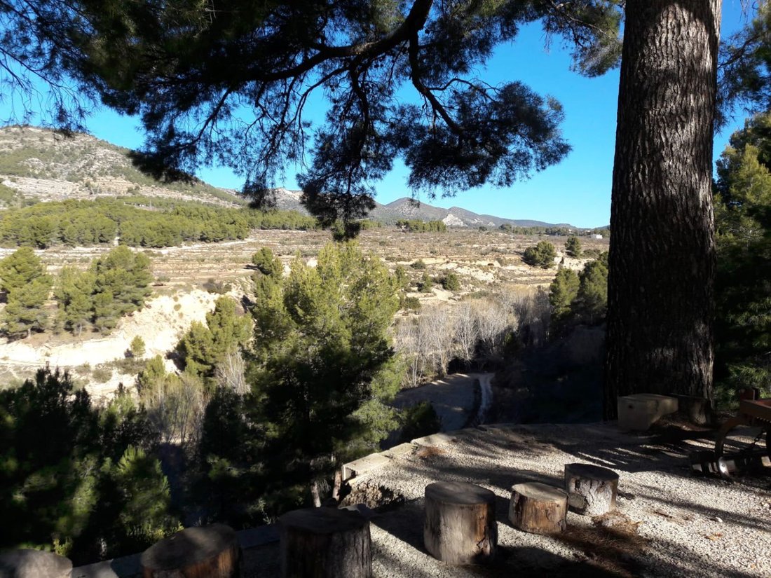 Farm Ranch in la Torre de les Macanes / Torremanzanas, Valencian Community, Spain 4 - 15688856