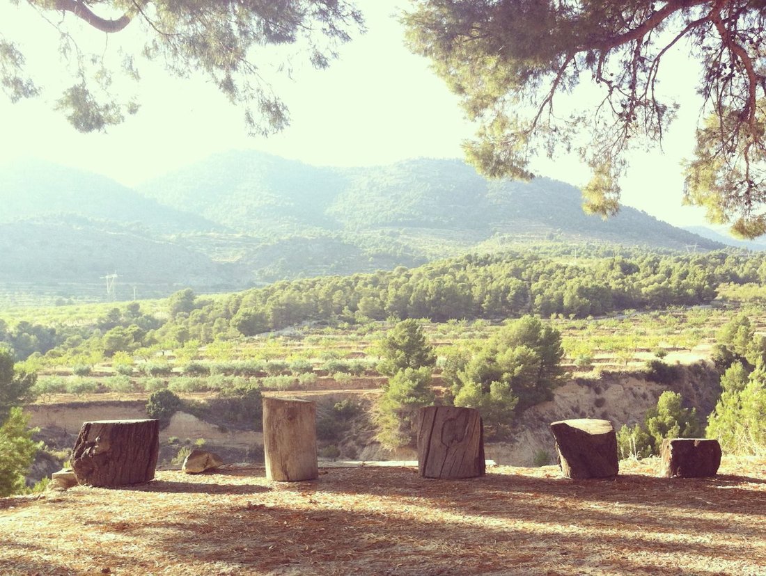 Farm Ranch in la Torre de les Macanes / Torremanzanas, Valencian Community, Spain 1 - 15688856