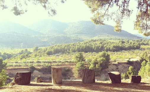 Farm Ranch in la Torre de les Macanes / Torremanzanas, Valencian Community, Spain 1