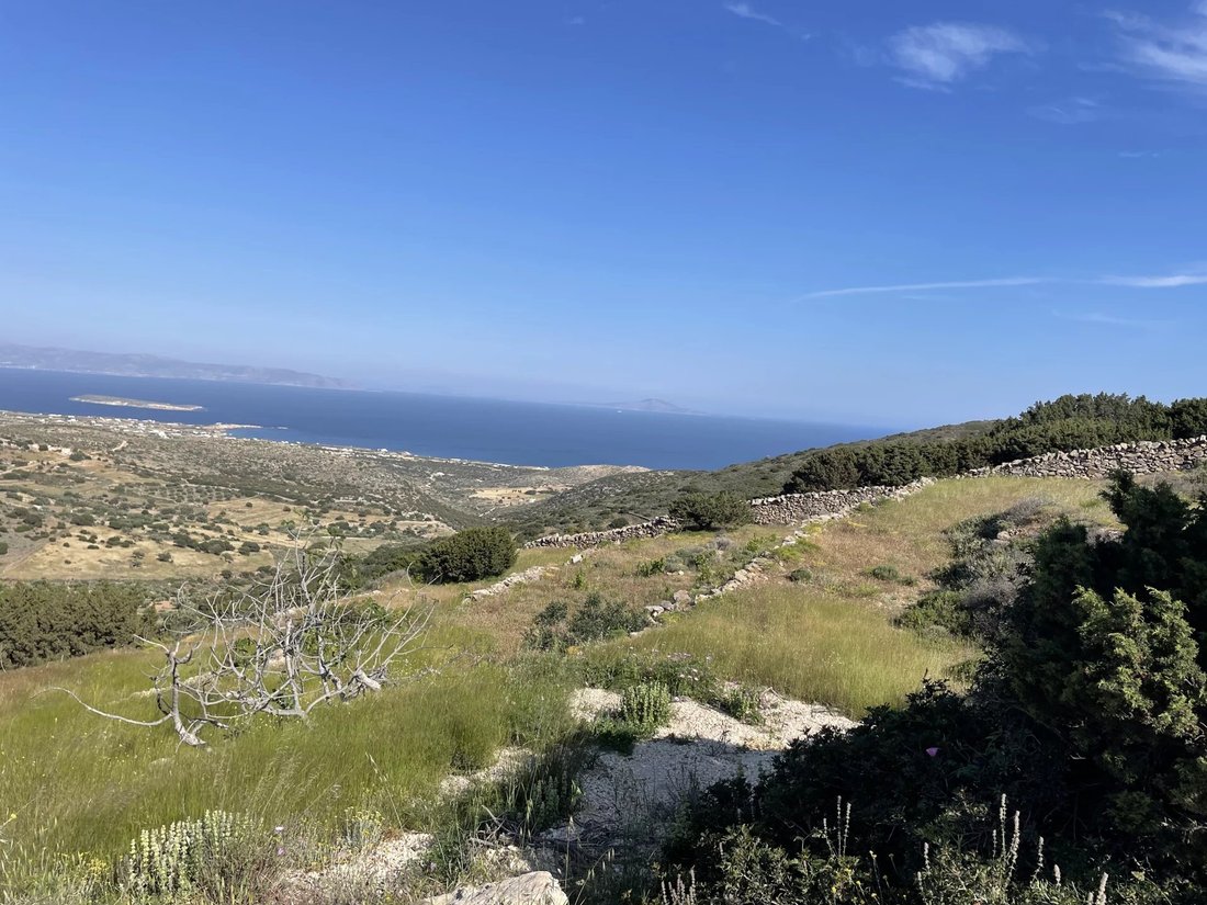 Land in Paros, Aegean, Greece 1 - 15689249