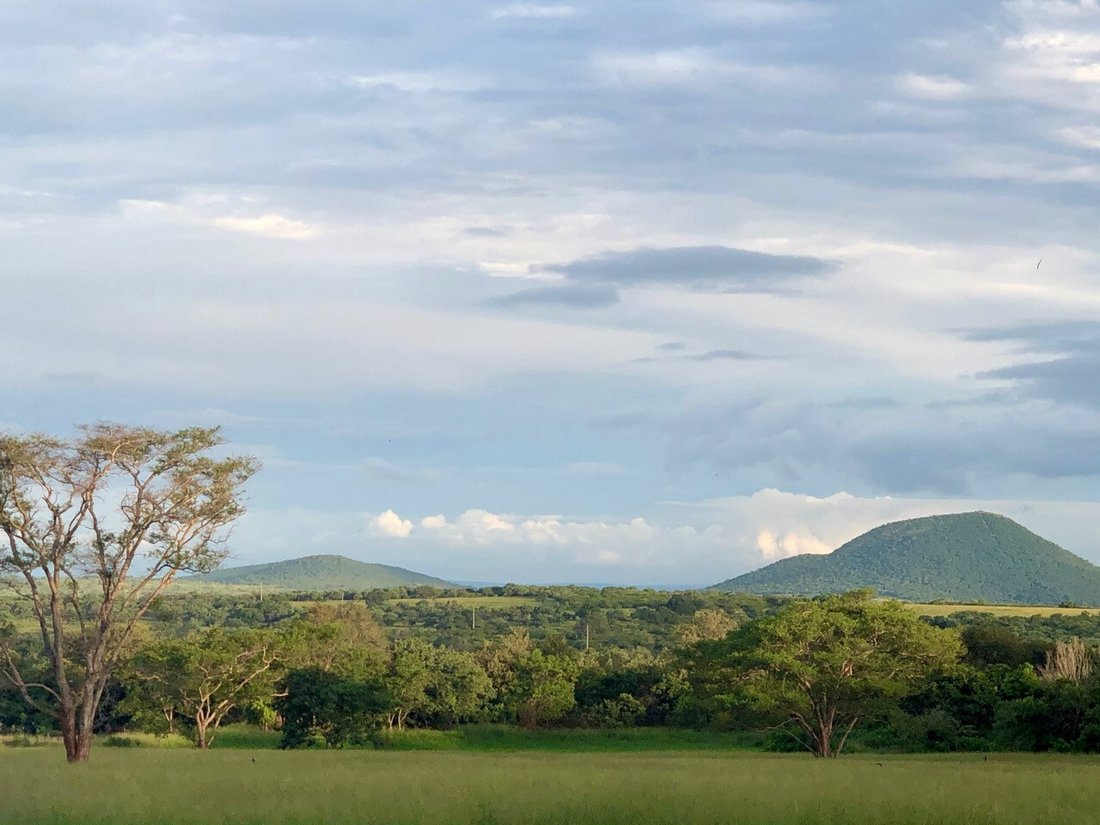 Farm Ranch in Malelane, Mpumalanga, South Africa 2 - 15689503