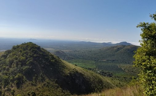 Azienda agricola a Ivaura Estates, Mpumalanga, Sudafrica 1