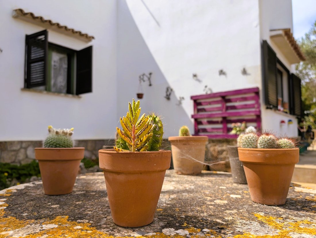 Villa in s'Alqueria Blanca, Santanyi, Balearic Islands 4 - 15689222