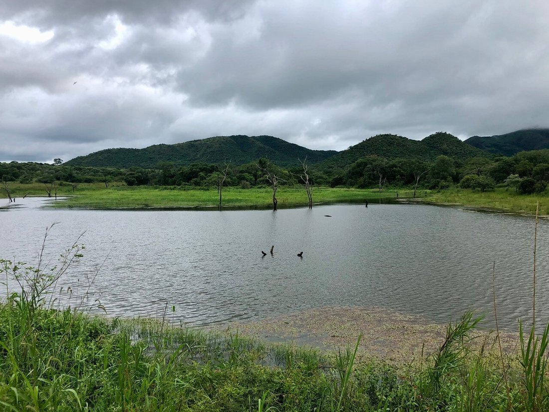 Farm Ranch in Malelane, Mpumalanga, South Africa 5 - 15689503