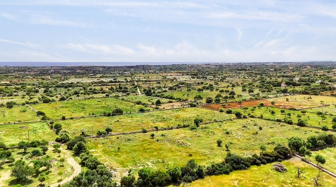 Land in Manacor, Balearic Islands, Spain 3 - 15628550