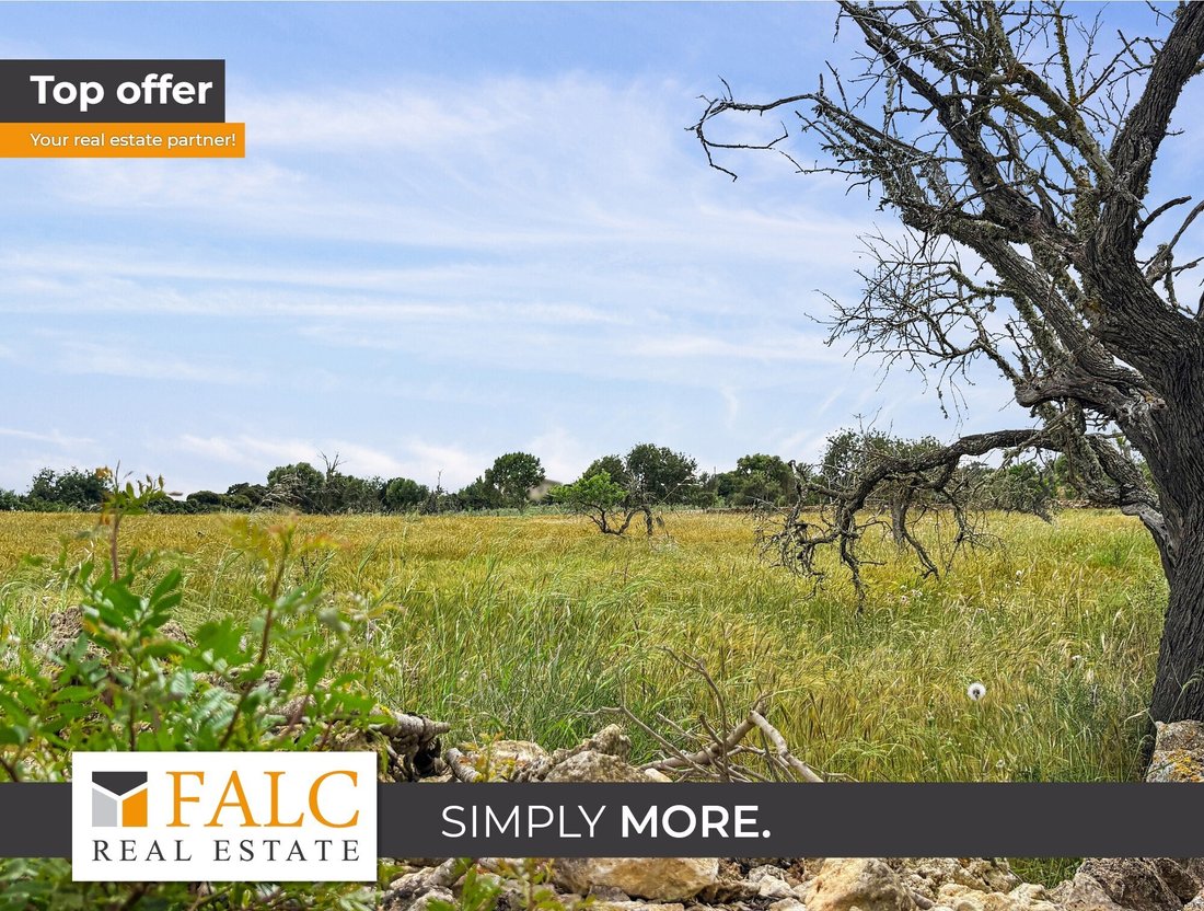 Land in Manacor, Balearic Islands, Spain 1 - 15628550