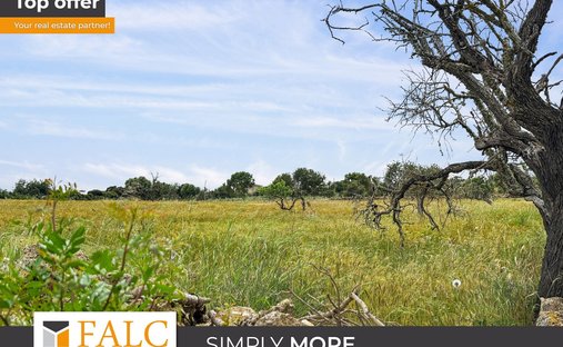Land in Manacor, Balearic Islands, Spain 1
