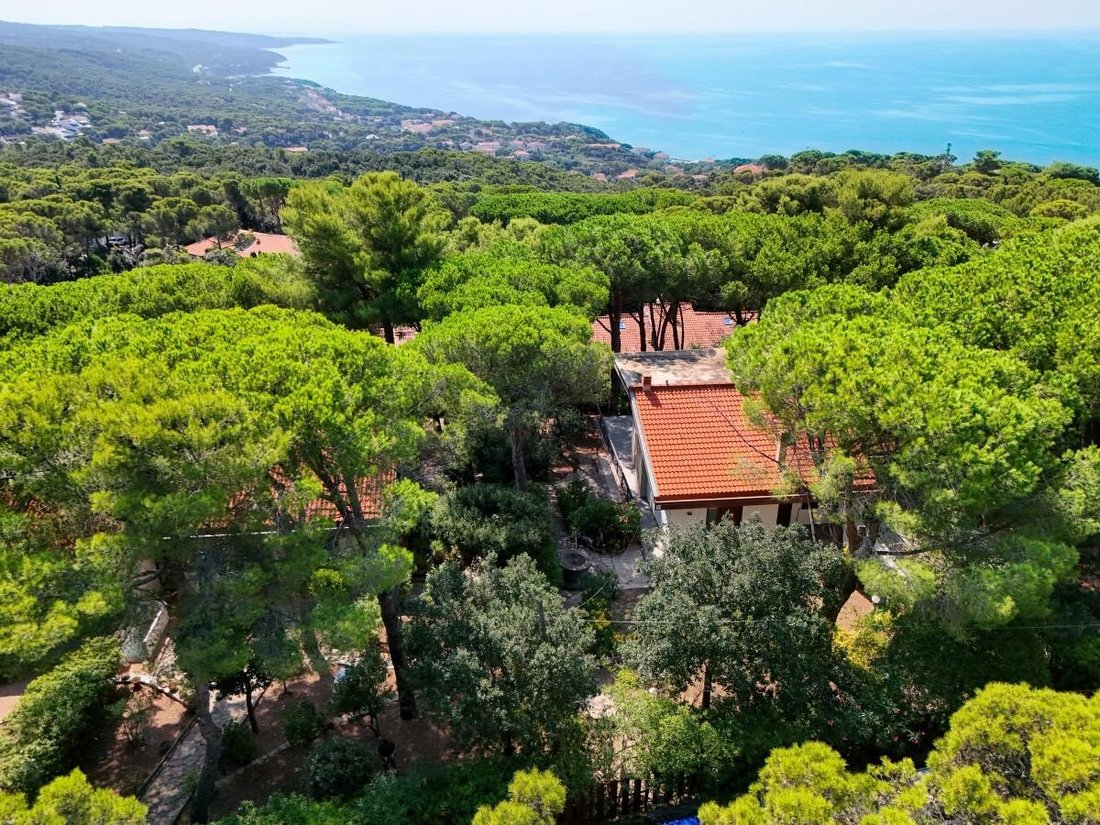 Villa in Livorno, Tuscany, Italy 1 - 15692602