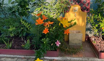 Country House in Olho Marinho, Leiria District, Portugal 1