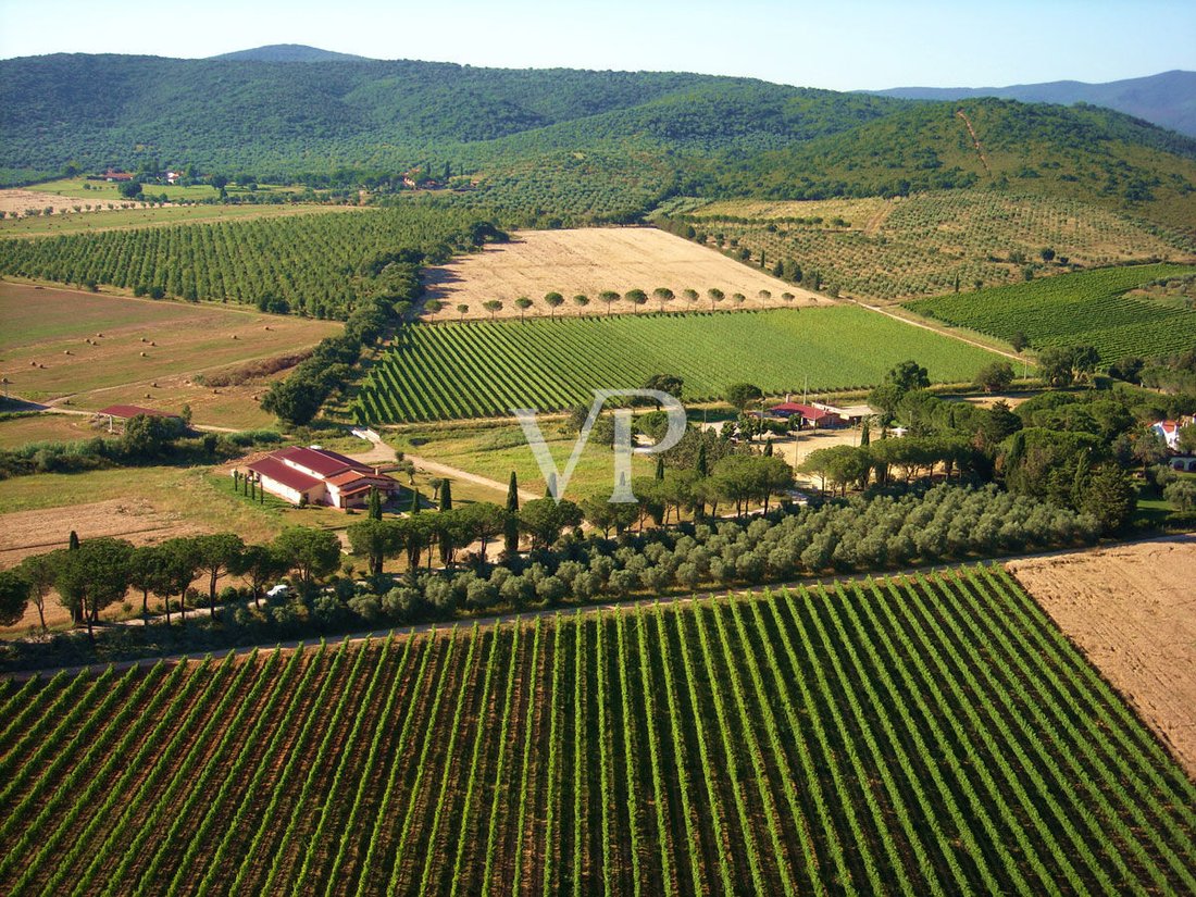 Villa in Terzo, Piedmont, Piedmont, Italy 4 - 15693338