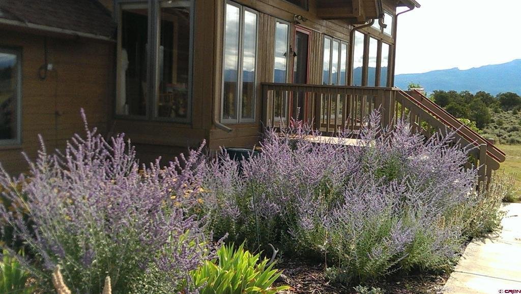 House in Montrose, Colorado, United States 4 - 15693829