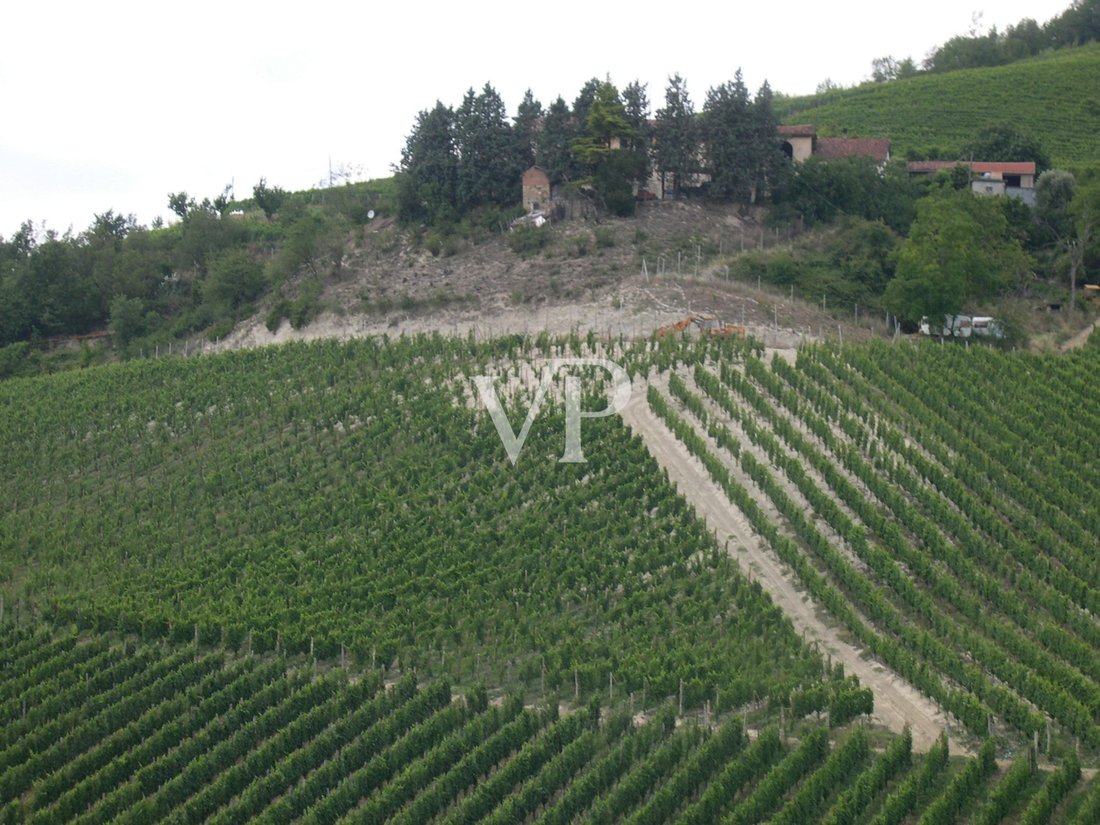 Villa in Terzo, Piedmont, Piedmont, Italy 5 - 15693338
