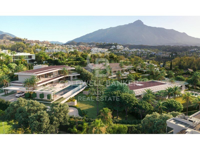 House in Nueva Andalucia, Marbella, Spain 2 - 15460168