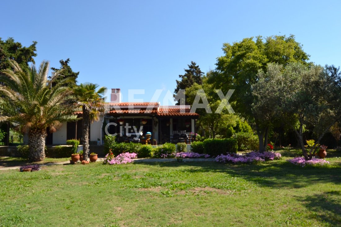 Villa in Alexandroupoli, Macedonia and Thrace, Greece 2 - 15695605