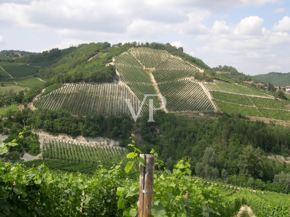 Villa in Terzo, Piedmont, Piedmont, Italy 3 - 15693338