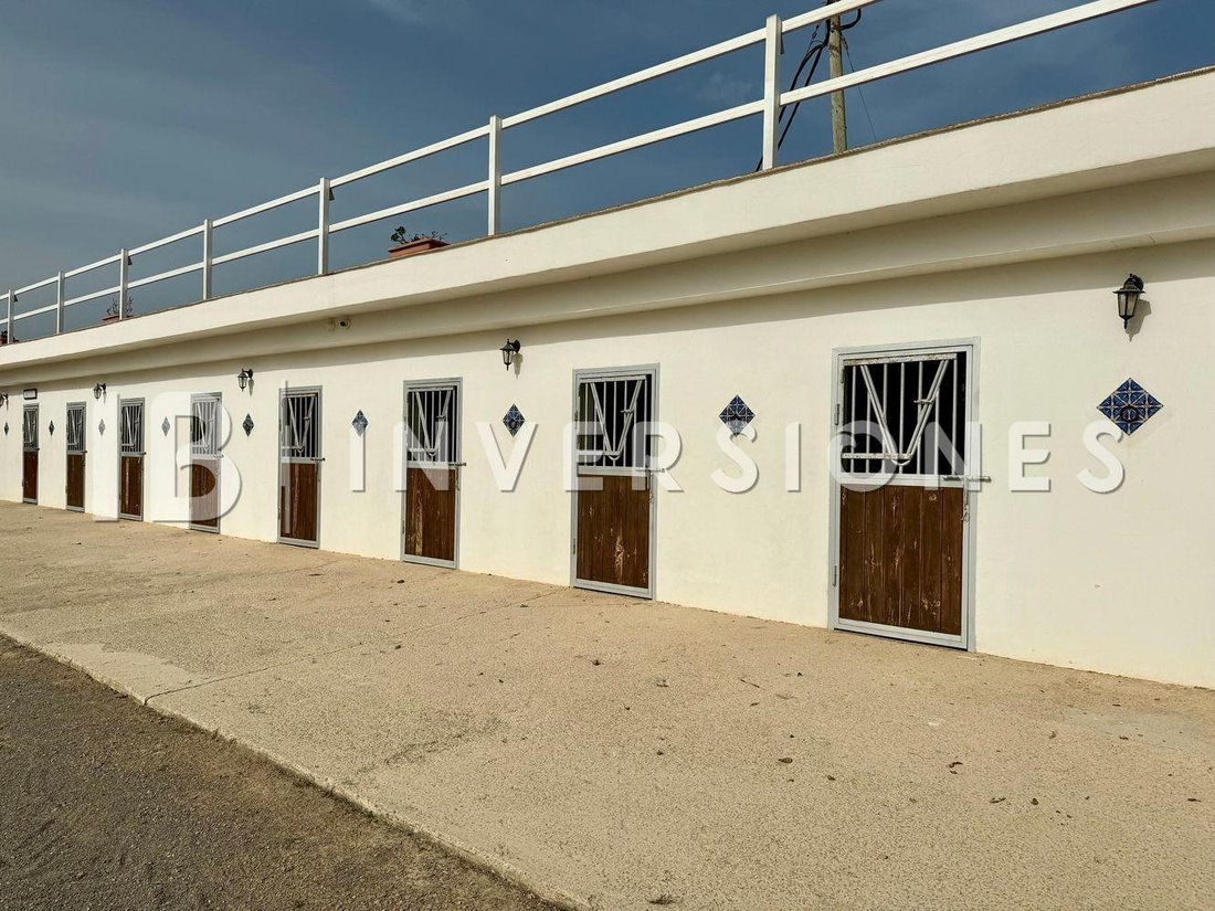 Country House in Playa de Palma, Palma, Balearic Islands 4 - 15694646