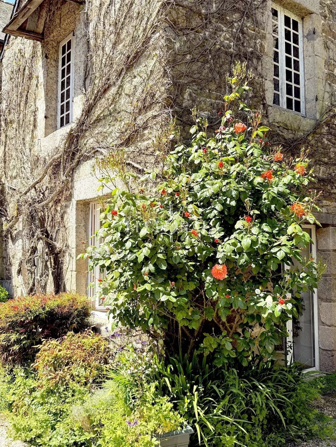Estate in Quintin, Brittany, France 3 - 15693263