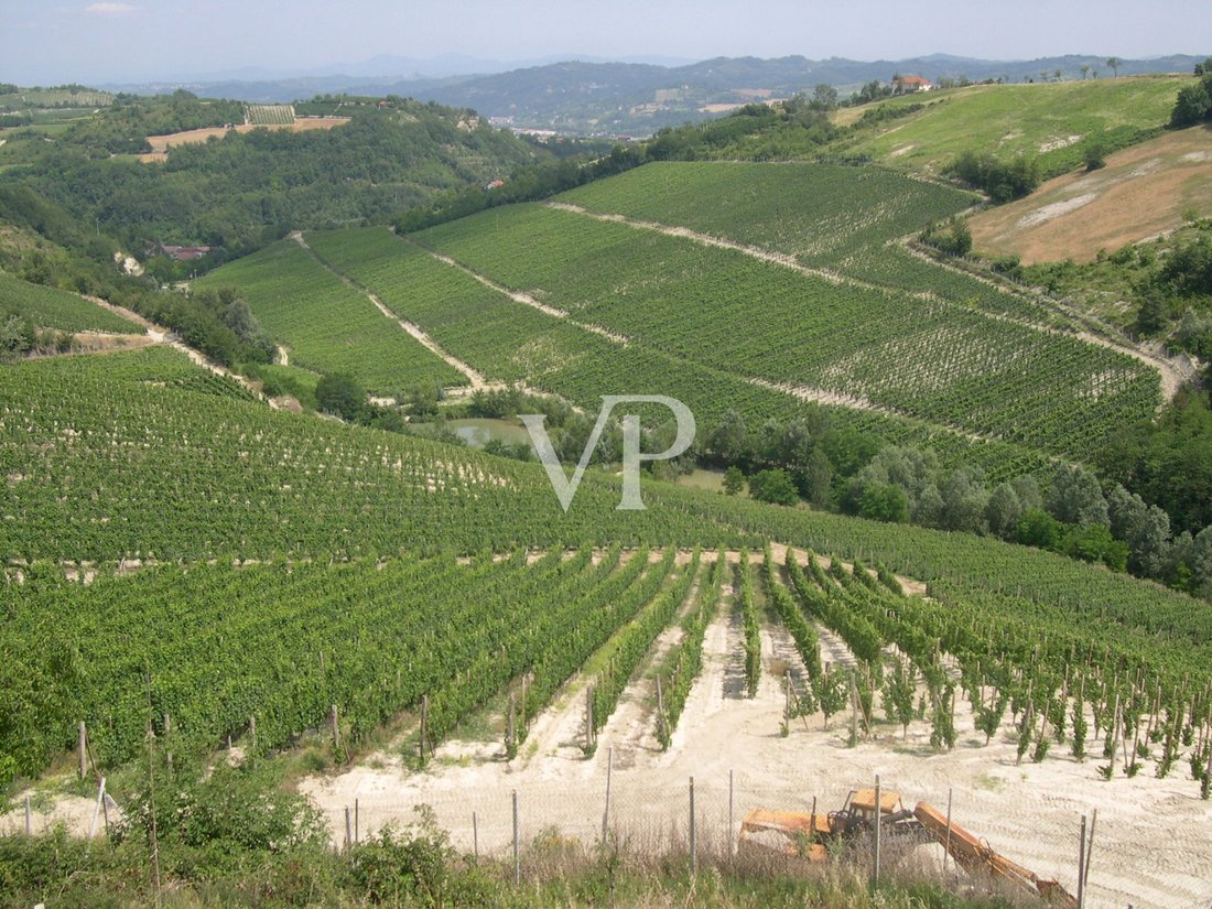 Villa in Terzo, Piedmont, Piedmont, Italy 2 - 15693338