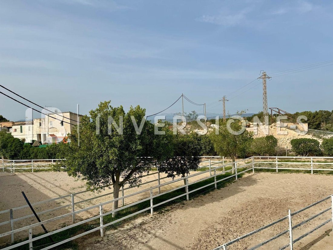 Country House in Playa de Palma, Palma, Balearic Islands 5 - 15694646
