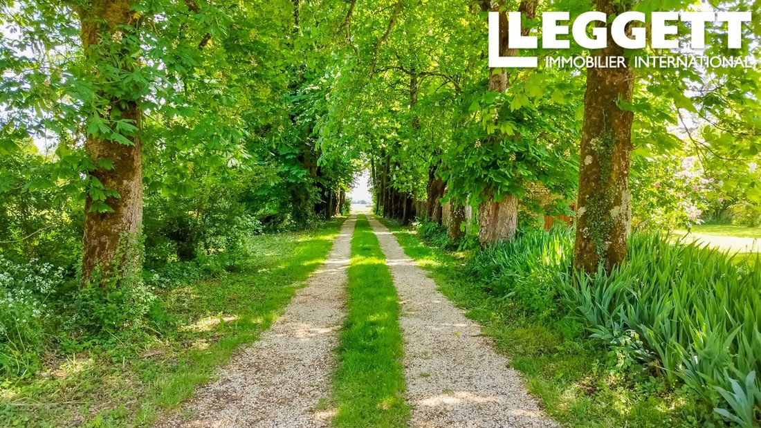 Whispers of the Chestnut Lane: A 17th-Century Château’s Timeless Embrace in Nouvelle-Aquitaine