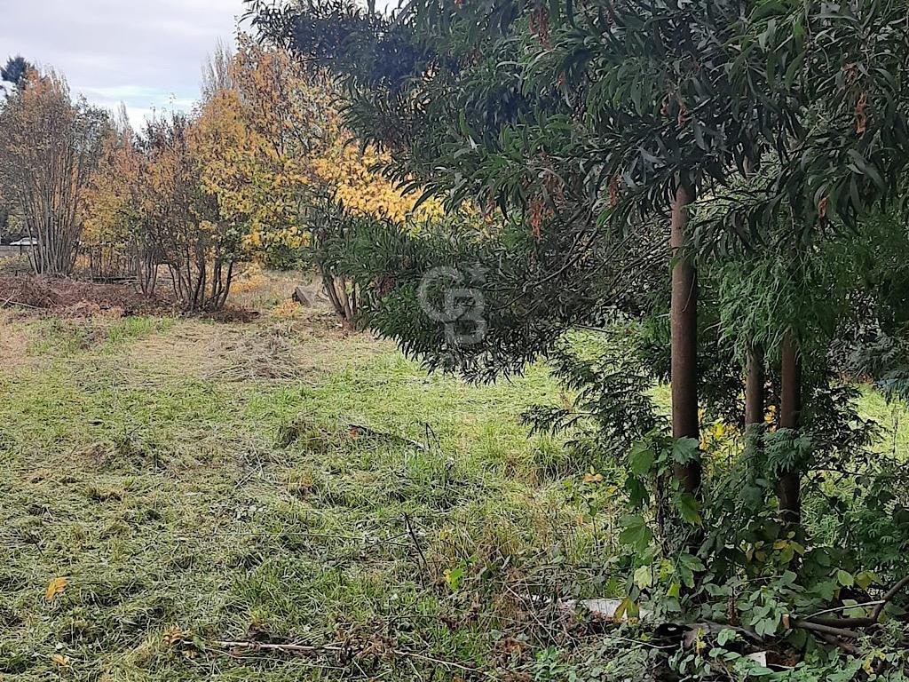 House in Osorno, Los Lagos, Chile 4 - 15695121