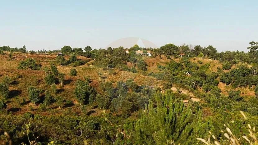 Villa in S.Teotónio, Beja District, Portugal 2 - 15695857