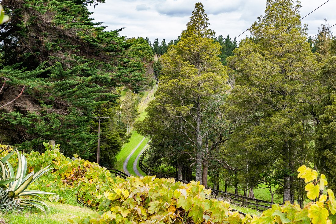 Farm Ranch in Titoki, Northland, Neuseeland 3 - 15693615