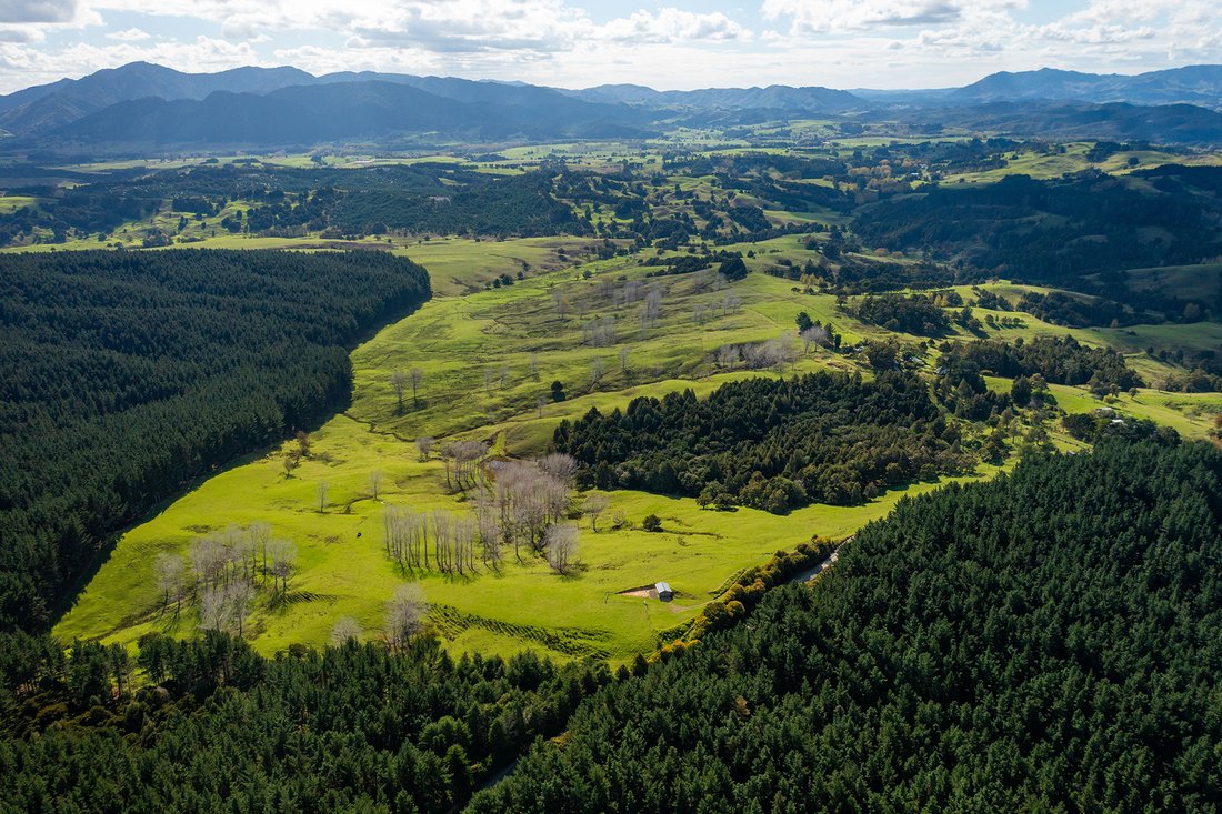 Farm Ranch in Titoki, Northland, Neuseeland 1 - 15693615