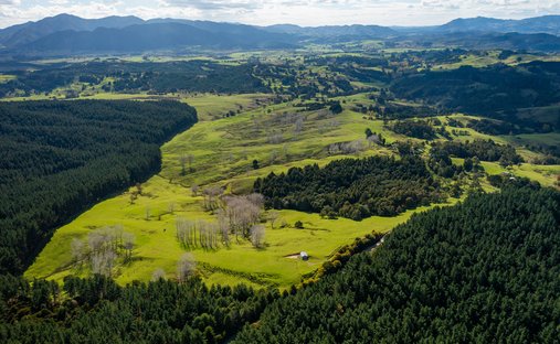 Farm Ranch in Titoki, Northland, Neuseeland 1