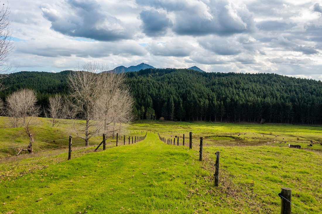 Farm Ranch in Titoki, Northland, Neuseeland 4 - 15693615
