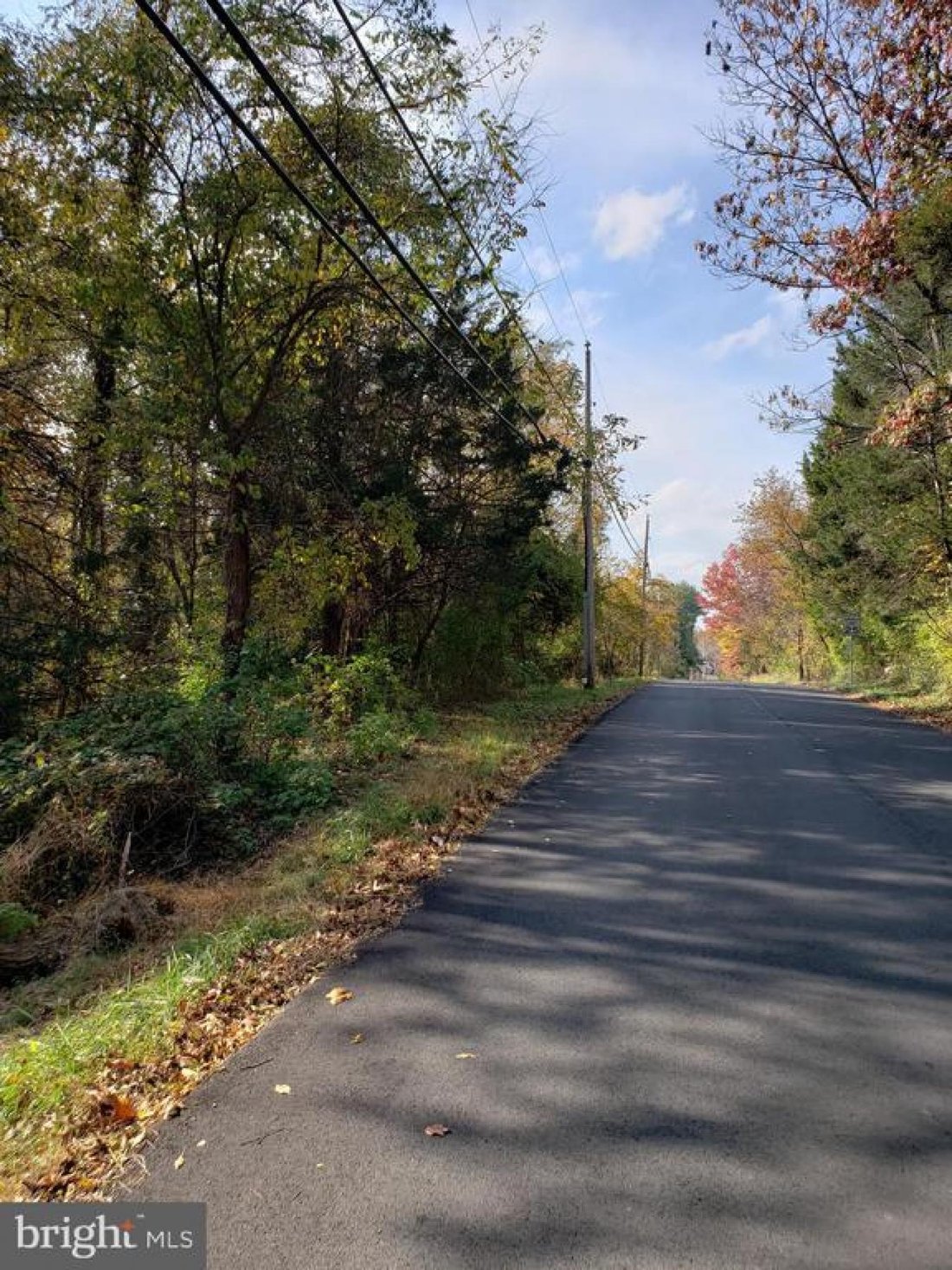 Land in Great Falls, Virginia, United States 3 - 15696014