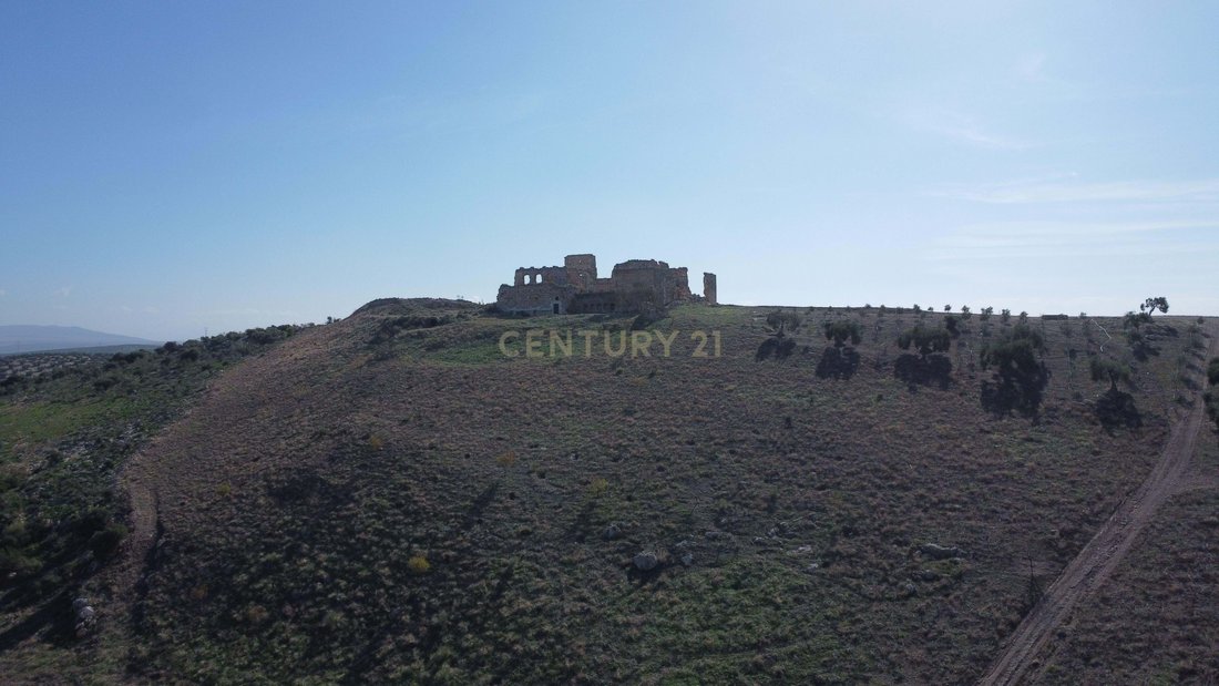 Villa in Osuna, Andalusia, Spain 5 - 14990151