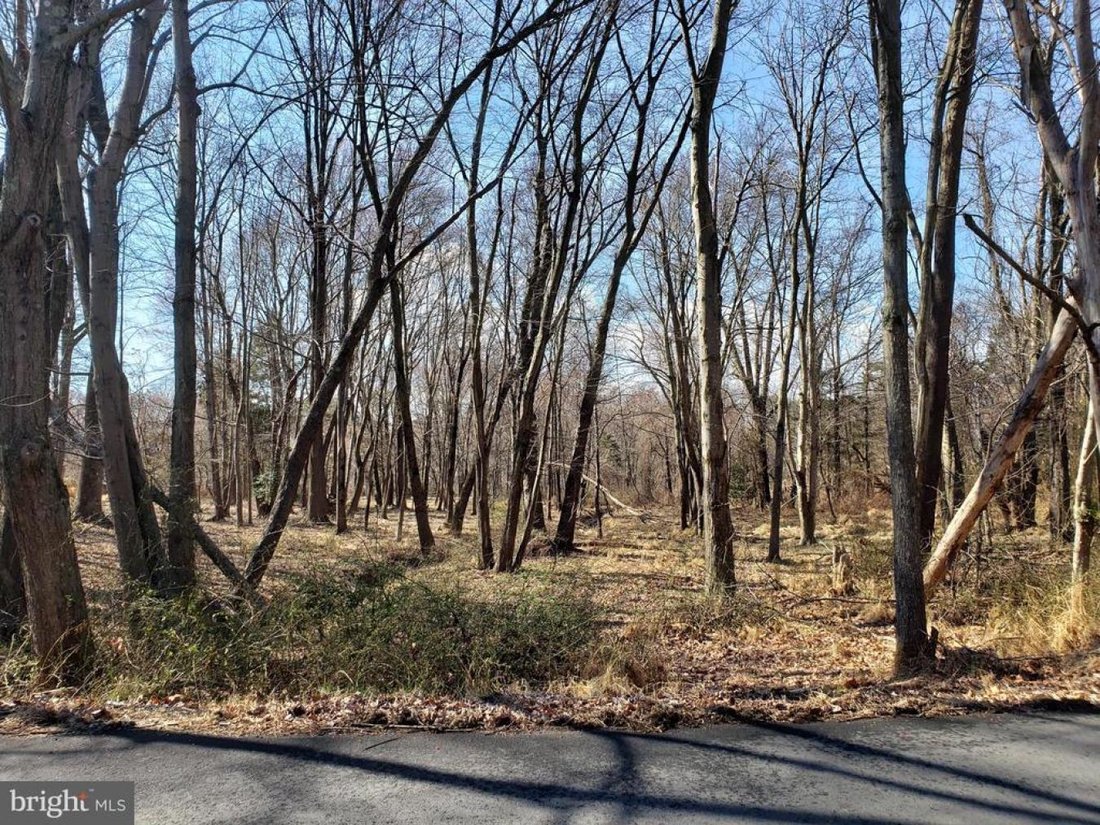 Land in Great Falls, Virginia, United States 5 - 15696014