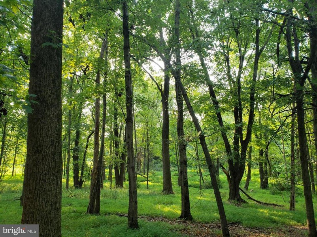 Land in Great Falls, Virginia, United States 1 - 15696014