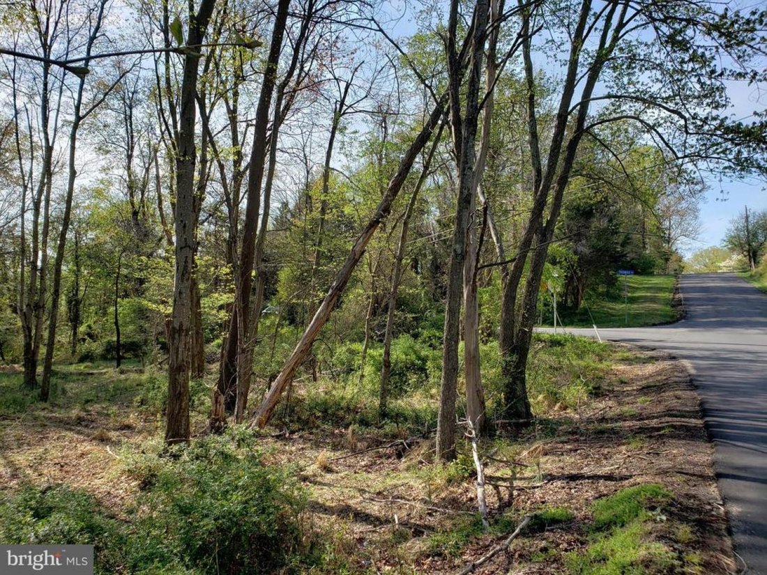 Land in Great Falls, Virginia, United States 4 - 15696014