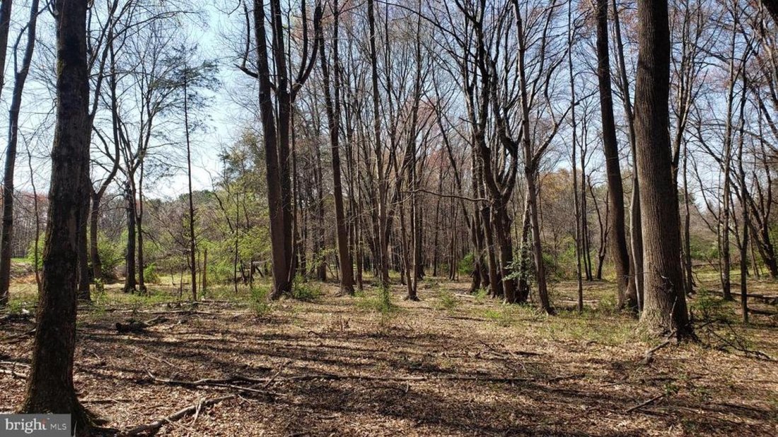 Land in Great Falls, Virginia, United States 2 - 15696014