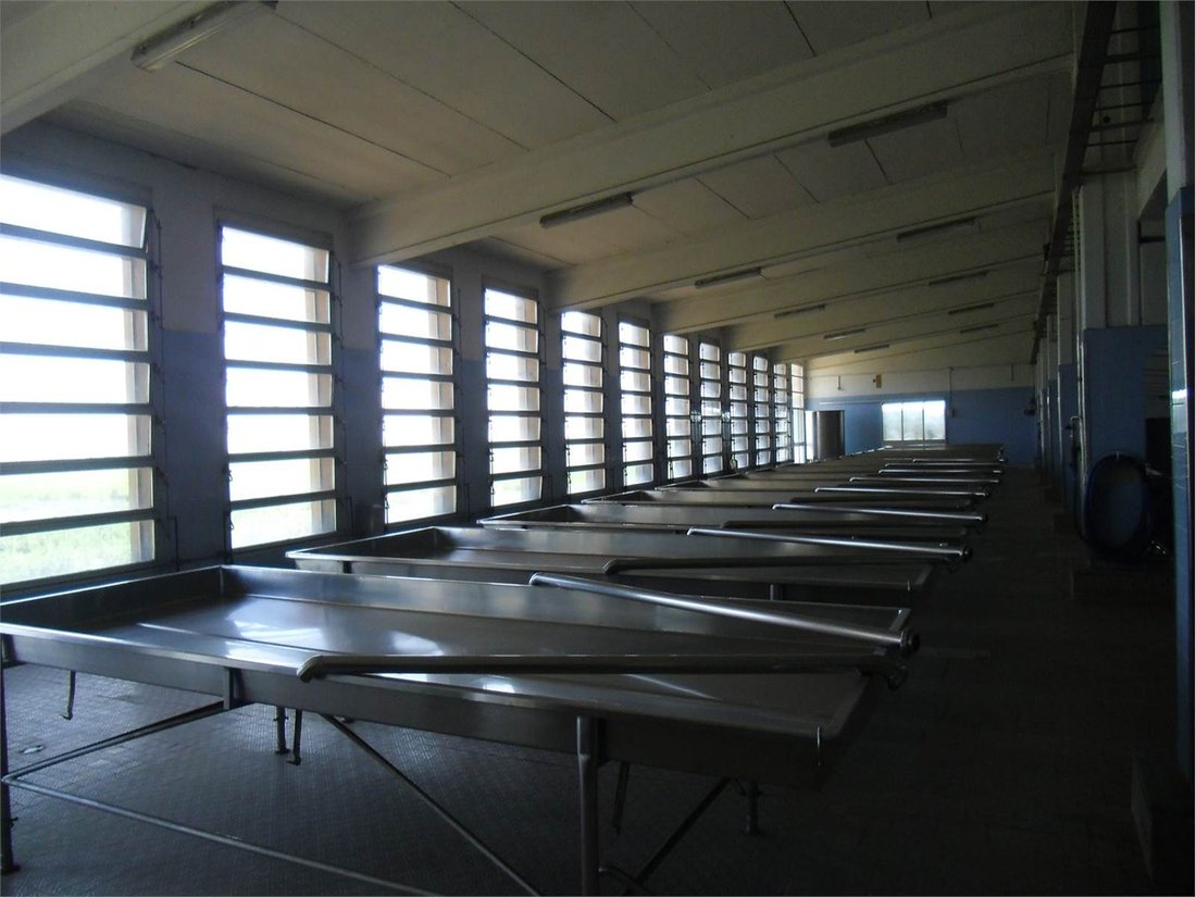 Finca in Busseto, Emilia-Romagna, Italien 5 - 15696199