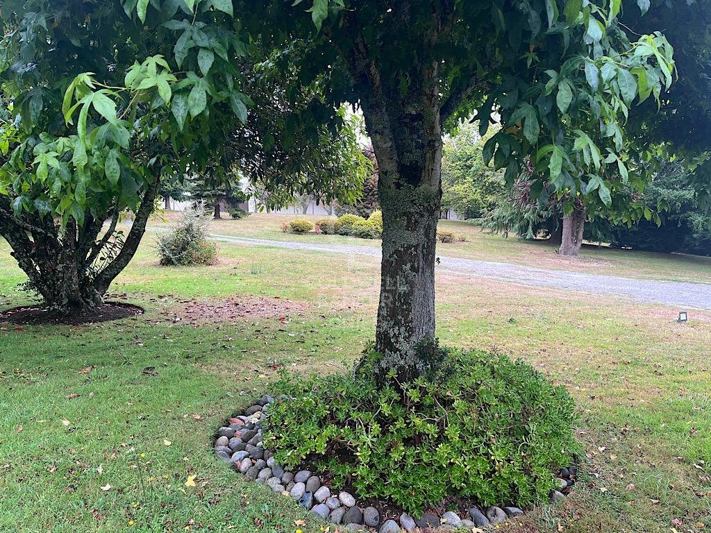 Estate in Puerto Montt, Los Lagos, Chile 5 - 15697156