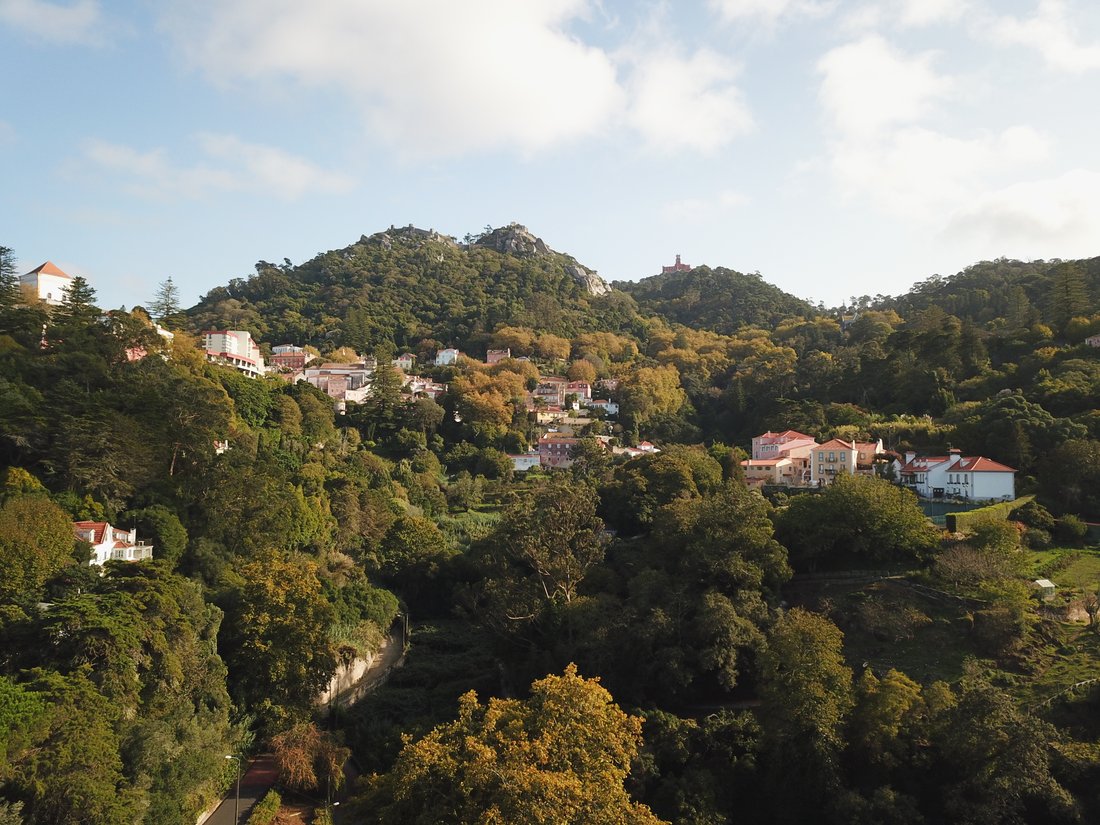 Land in Sintra, Lisbon, Portugal 5 - 15697508