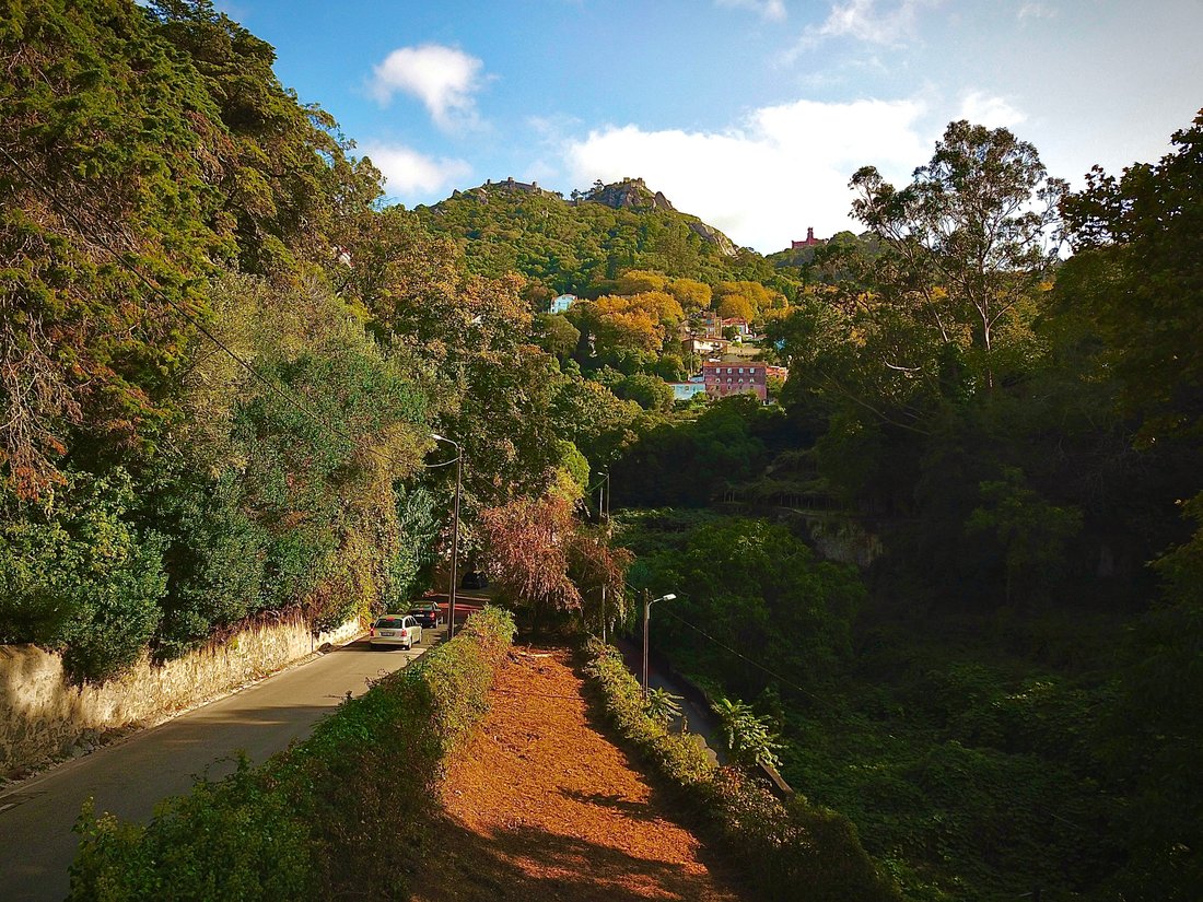 Land in Sintra, Lisbon, Portugal 4 - 15697508