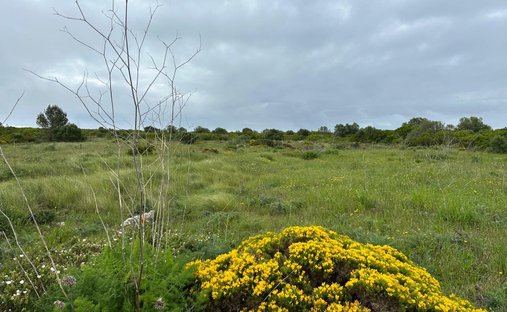 Land in Sesimbra (Castelo), Setubal, Portugal 1