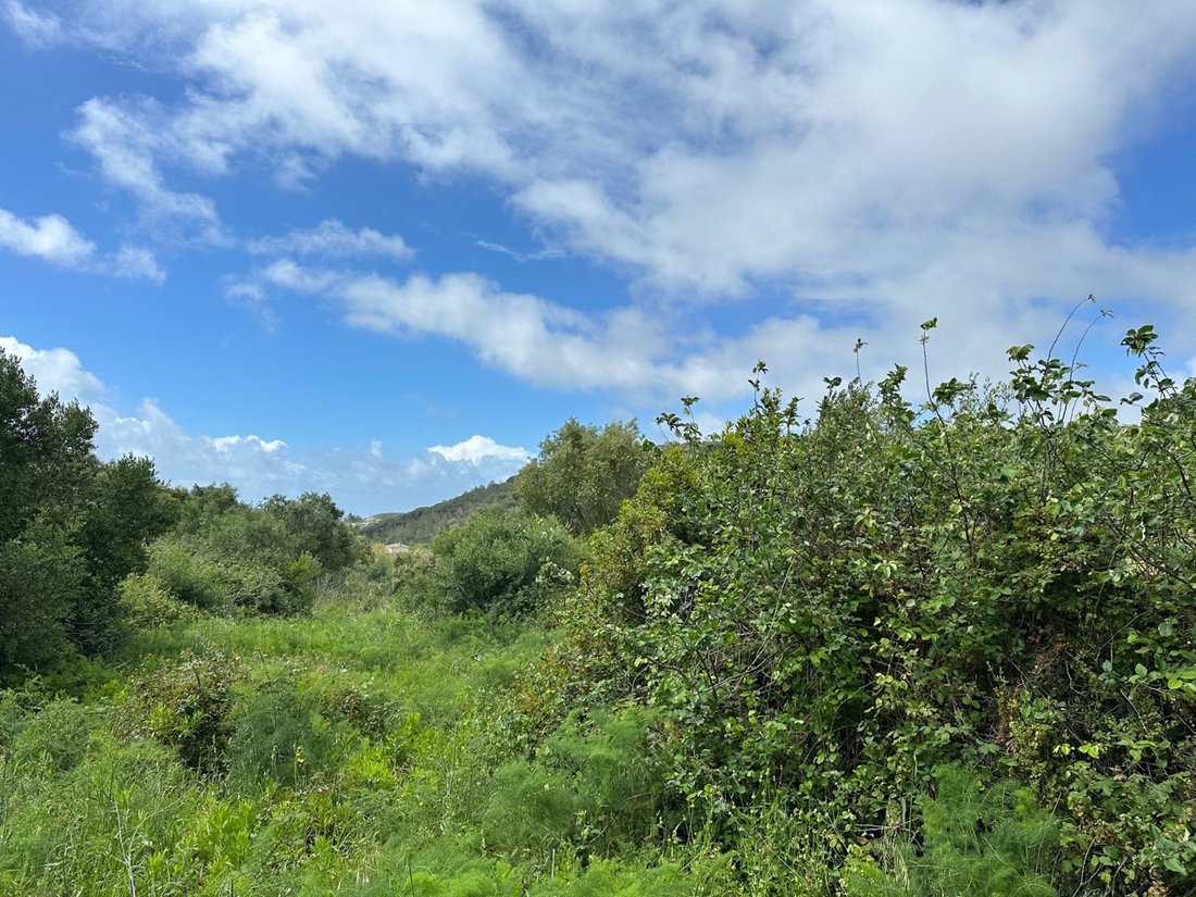 Land in Sesimbra (Castelo), Setubal, Portugal 3 - 15697942
