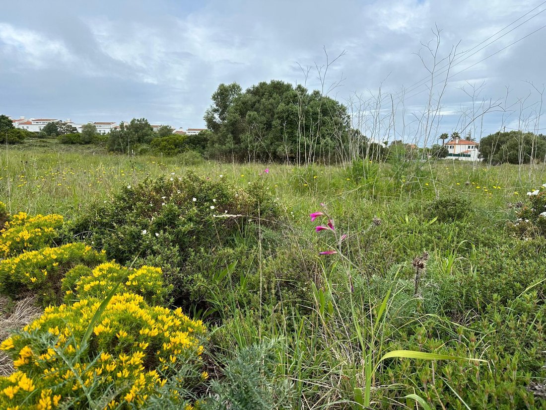 Land in Sesimbra (Castelo), Setubal, Portugal 5 - 15697938
