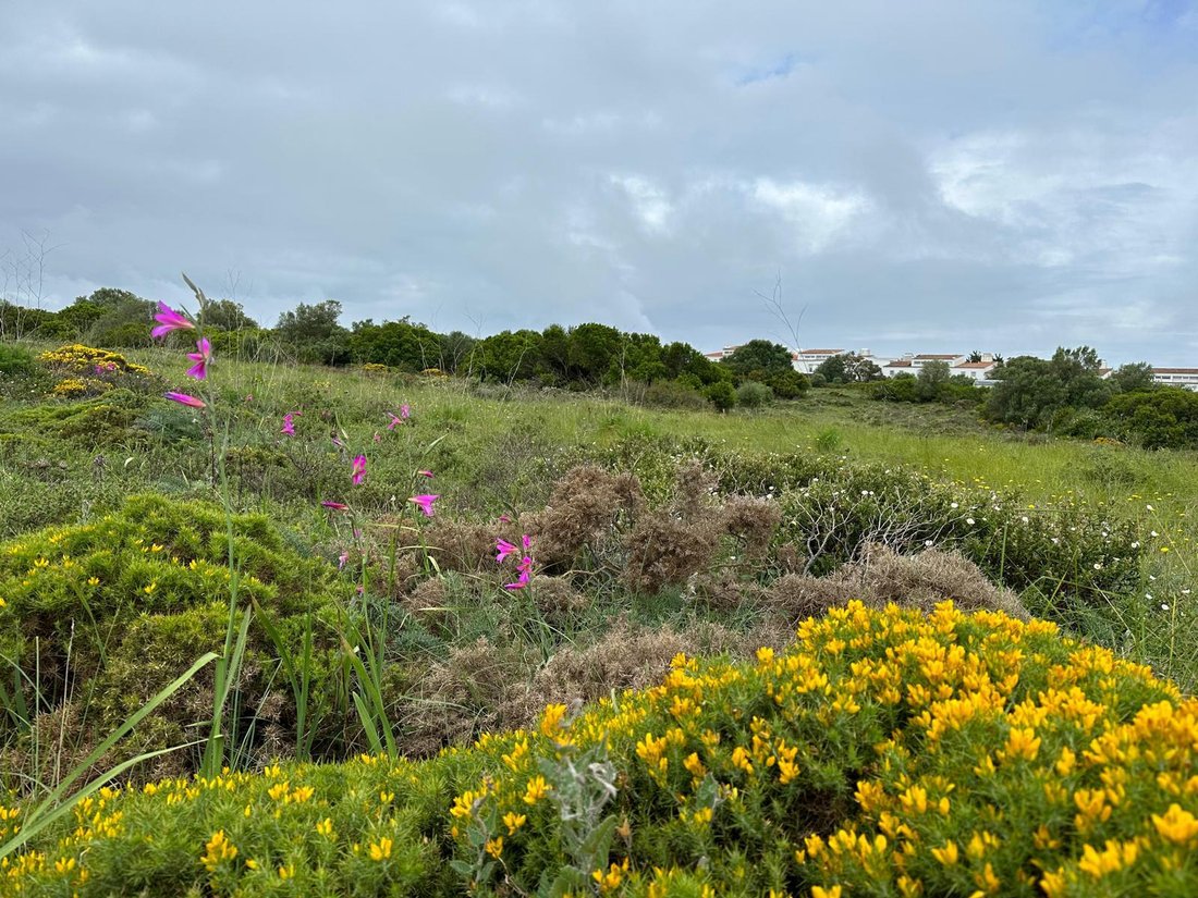 Land in Sesimbra (Castelo), Setubal, Portugal 2 - 15697938