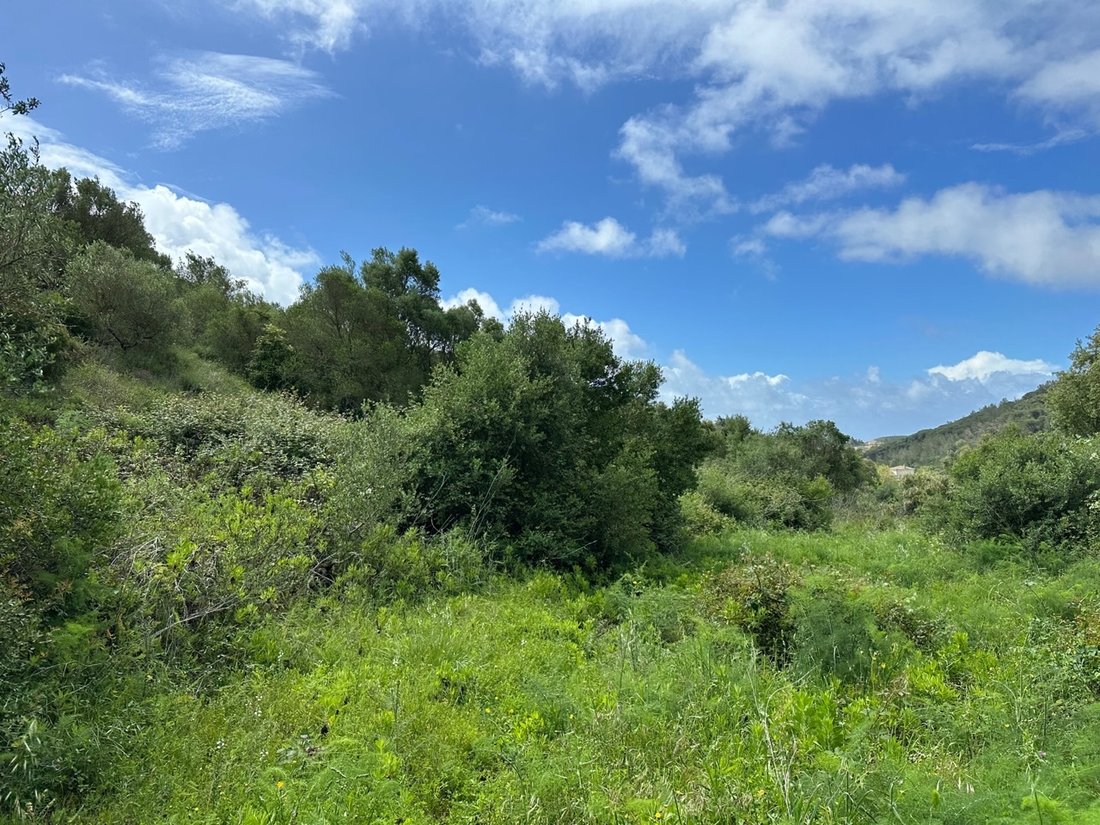 Land in Sesimbra (Castelo), Setubal, Portugal 4 - 15697942