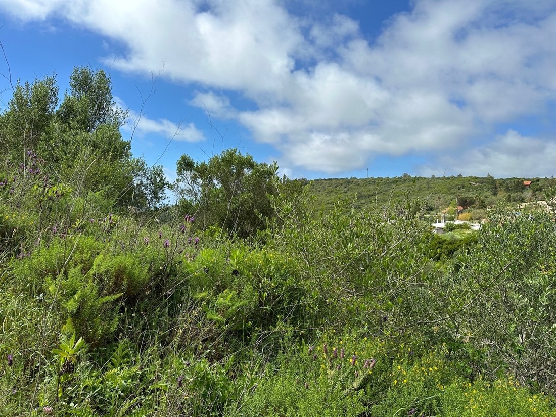 Land in Sesimbra (Castelo), Setubal, Portugal 5 - 15697942
