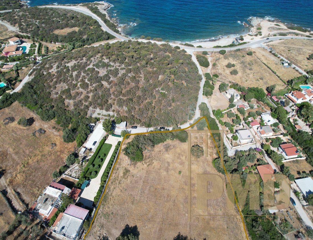 Land in Palea Fokea, Attica, Greece 1 - 15541679
