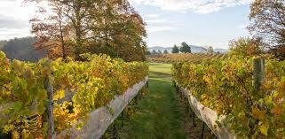 Farm Ranch in Northern Virginia, Virginia, United States 4 - 15697920