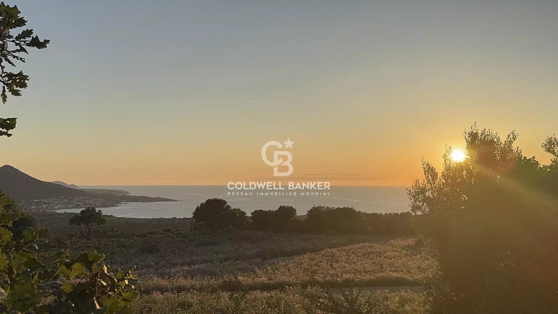Land in Corbara, Corsica, France 3 - 15461811